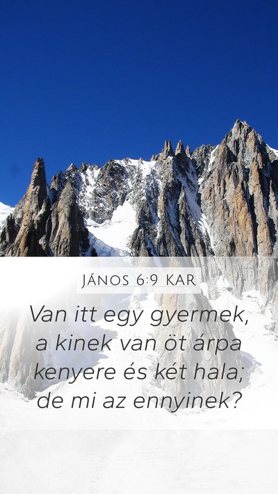 János 6:9 KAR Mobile Phone Wallpaper - Van itt egy gyermek, a kinek van öt árpa - Mobile Bible Verse Wallpaper