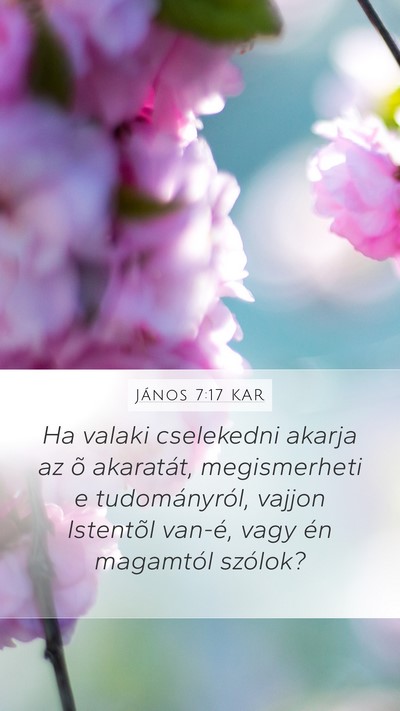 János 7:17 KAR Mobile Phone Wallpaper - Ha valaki cselekedni akarja az õ akaratát, - Mobile Bible Verse Wallpaper