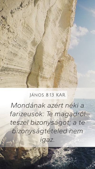 János 8:13 KAR Bible Verse Image