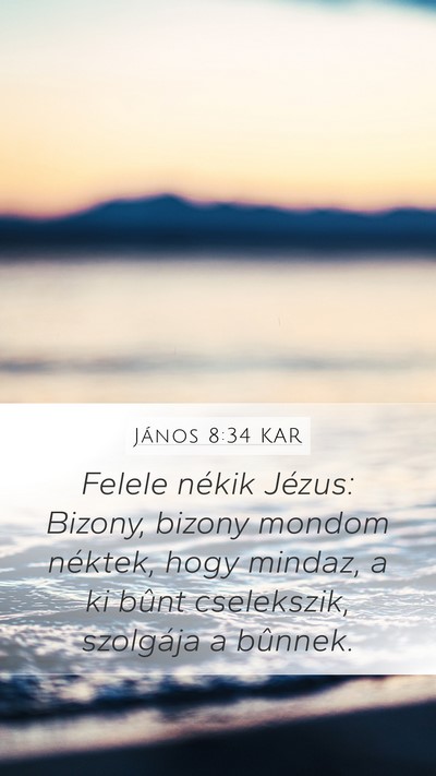 János 8:34 KAR Bible Verse Image