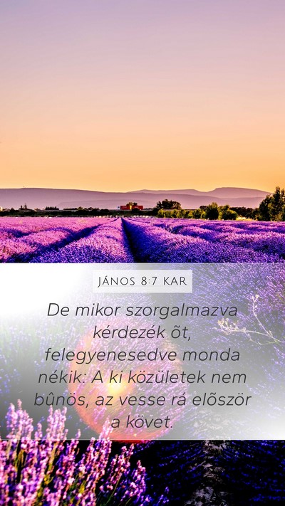 János 8:7 KAR Bible Verse Image