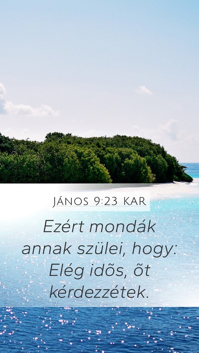 János 9:23 KAR Mobile Phone Wallpaper - Ezért mondák annak szülei, hogy: Elég idõs, - Mobile Bible Verse Wallpaper