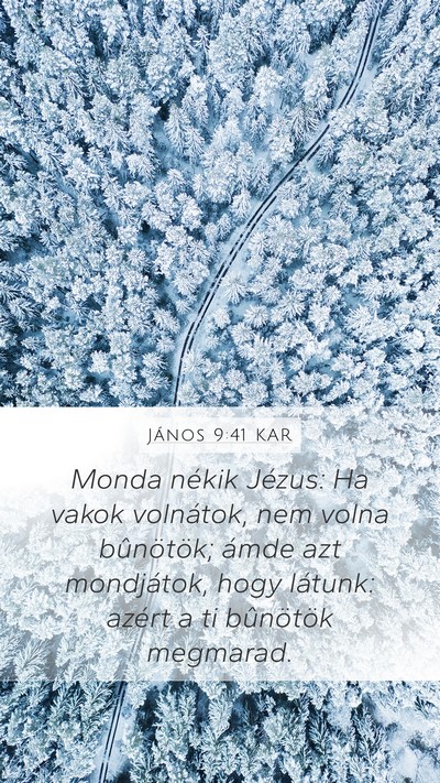 János 9:41 KAR Bible Verse Image