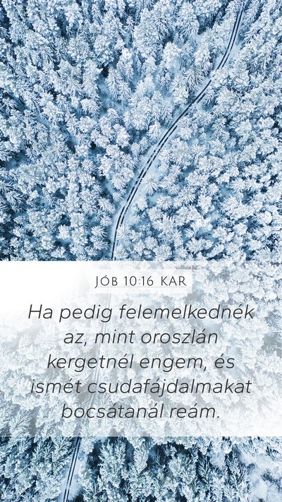Jób 10:16 KAR Bible Verse Image