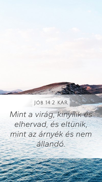 Jób 14:2 KAR Bible Verse Image