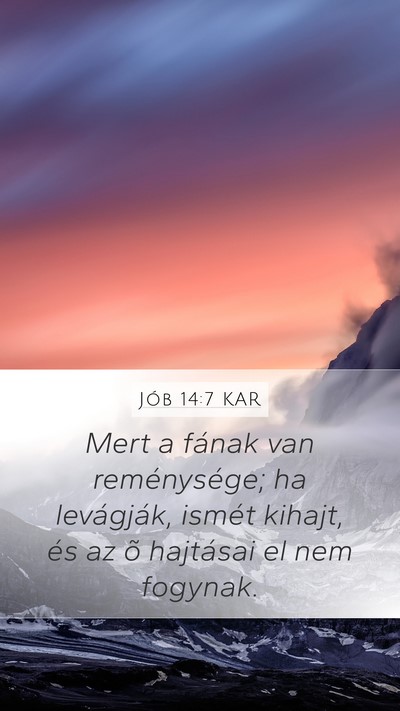 Jób 14:7 KAR Bible Verse Image