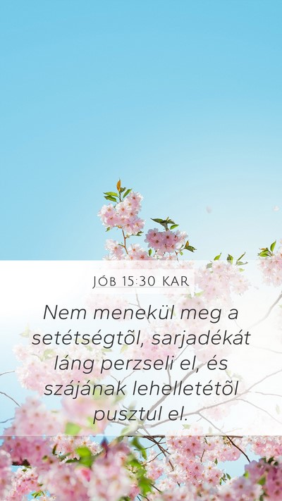 Jób 15:30 KAR Bible Verse Image