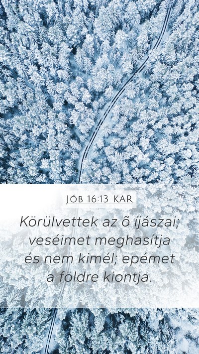 Jób 16:13 KAR Bible Verse Image