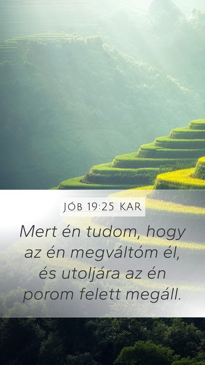 Jób 19:25 KAR Bible Verse Image