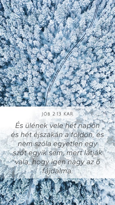 Jób 2:13 KAR Bible Verse Image