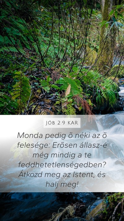 Jób 2:9 KAR Bible Verse Image