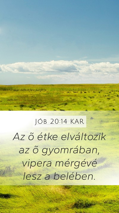 Jób 20:14 KAR Bible Verse Image
