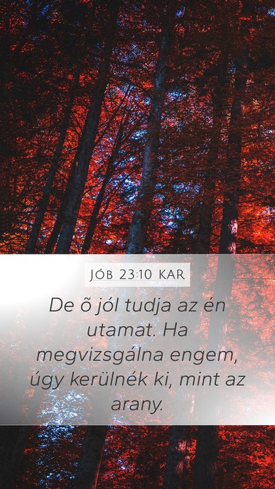Jób 23:10 KAR Bible Verse Image