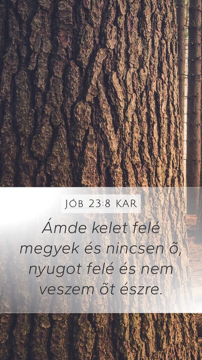 Jób 23:8 KAR Bible Verse Image