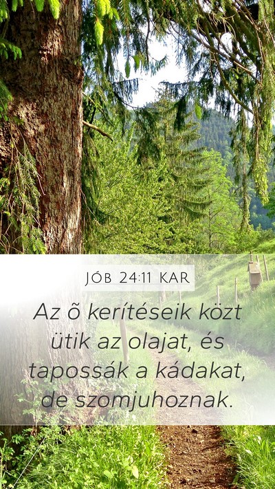 Jób 24:11 KAR Bible Verse Image
