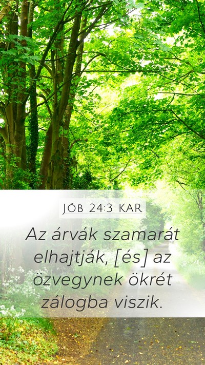 Jób 24:3 KAR Bible Verse Image