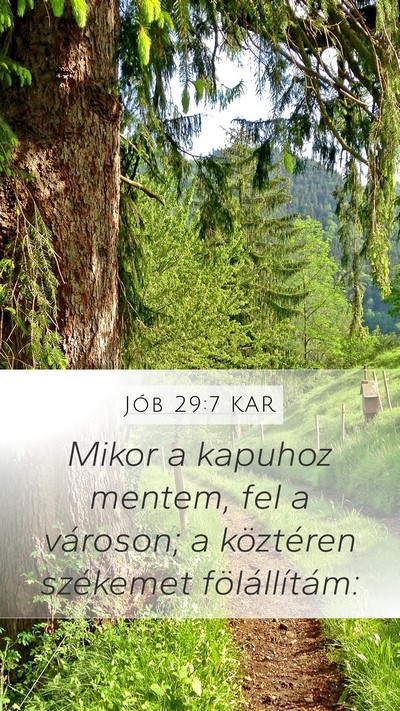 Jób 29:7 KAR Bible Verse Image