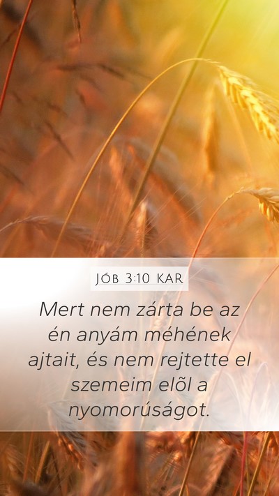 Jób 3:10 KAR Bible Verse Image
