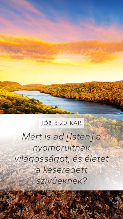 Jób 3:20 KAR Bible Verse Image