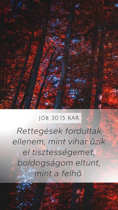 Jób 30:15 KAR Bible Verse Image