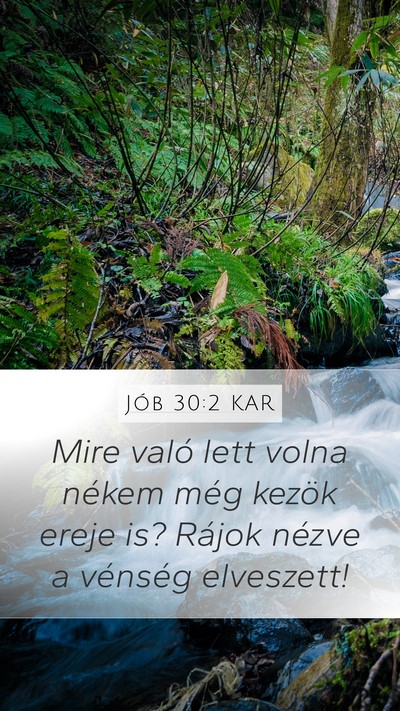 Jób 30:2 KAR Mobile Phone Wallpaper - Mire való lett volna nékem még kezök ereje - Mobile Bible Verse Wallpaper