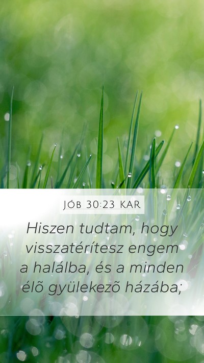 Jób 30:23 KAR Bible Verse Image