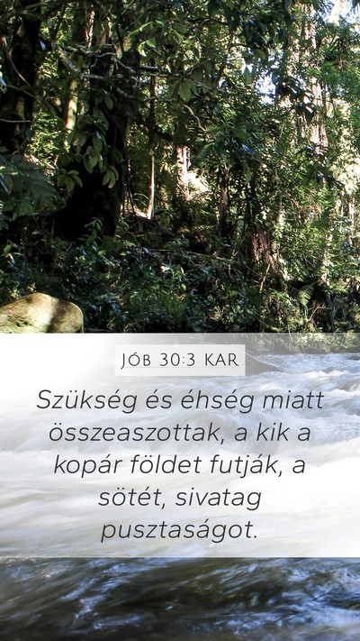 Jób 30:3 KAR Bible Verse Image