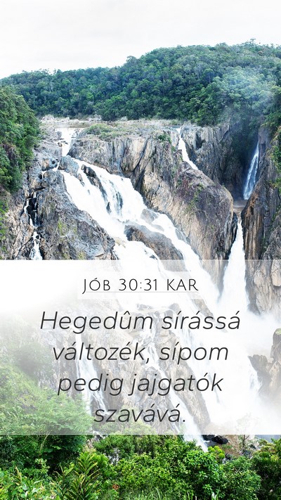 Jób 30:31 KAR Mobile Phone Wallpaper - Hegedûm sírássá változék, sípom pedig - Mobile Bible Verse Wallpaper