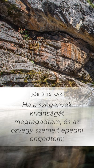 Jób 31:16 KAR Bible Verse Image