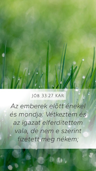 Jób 33:27 KAR Bible Verse Image