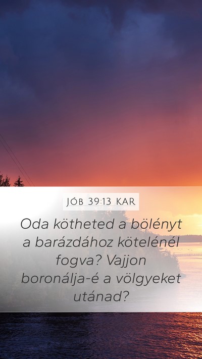Jób 39:13 KAR Bible Verse Image