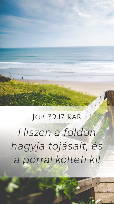 Jób 39:17 KAR Bible Verse Image