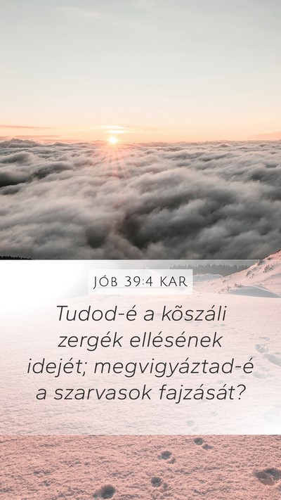 Jób 39:4 KAR Bible Verse Image