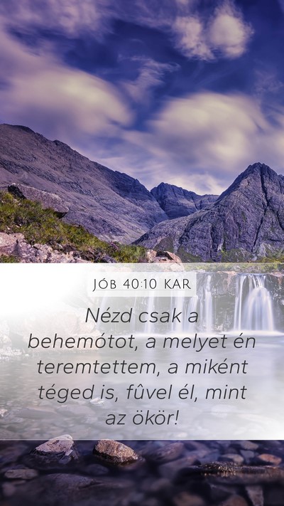 Jób 40:10 KAR Bible Verse Image