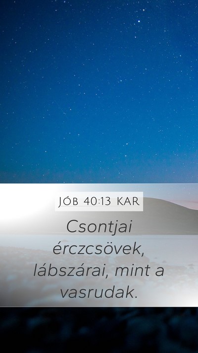 Jób 40:13 KAR Bible Verse Image