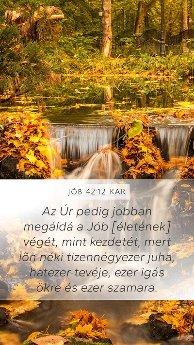 Jób 42:12 KAR Bible Verse Image