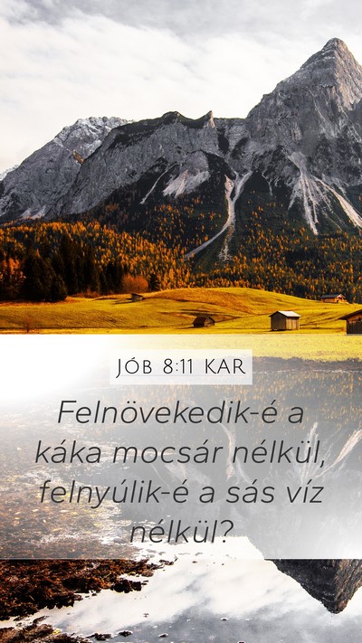 Jób 8:11 KAR Bible Verse Image