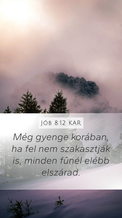 Jób 8:12 KAR Bible Verse Image