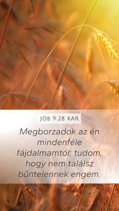 Jób 9:28 KAR Bible Verse Image