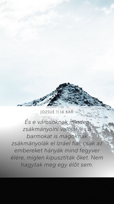 Józsué 11:14 KAR Bible Verse Image