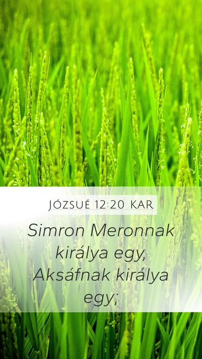 Józsué 12:20 KAR Bible Verse Image