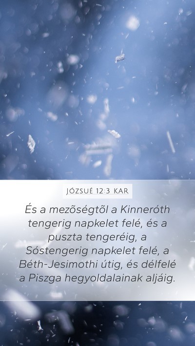 Józsué 12:3 KAR Bible Verse Image