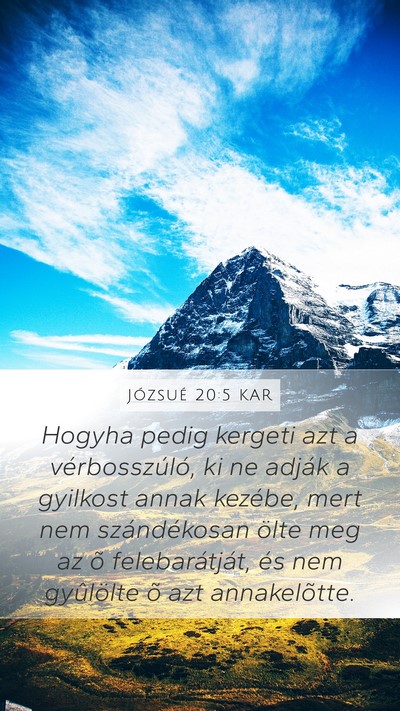 Józsué 20:5 KAR Mobile Phone Wallpaper - Hogyha pedig kergeti azt a vérbosszúló, ki ne - Mobile Bible Verse Wallpaper