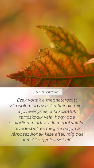 Józsué 20:9 KAR Mobile Phone Wallpaper - Ezek voltak a meghatározott városok mind az - Mobile Bible Verse Wallpaper