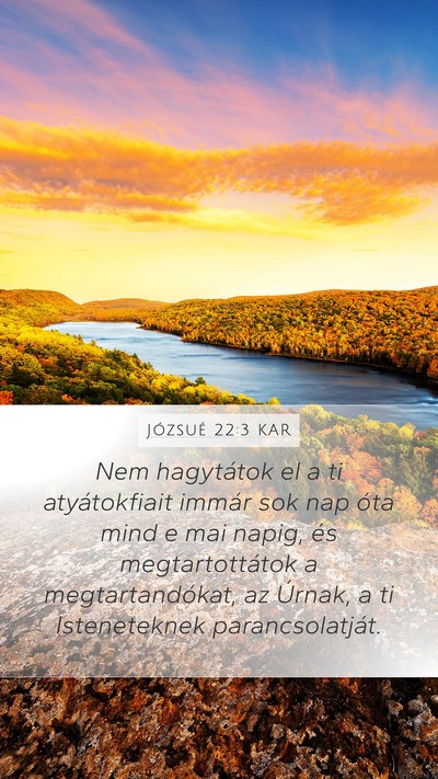 Józsué 22:3 KAR Mobile Phone Wallpaper - Nem hagytátok el a ti atyátokfiait immár sok - Mobile Bible Verse Wallpaper