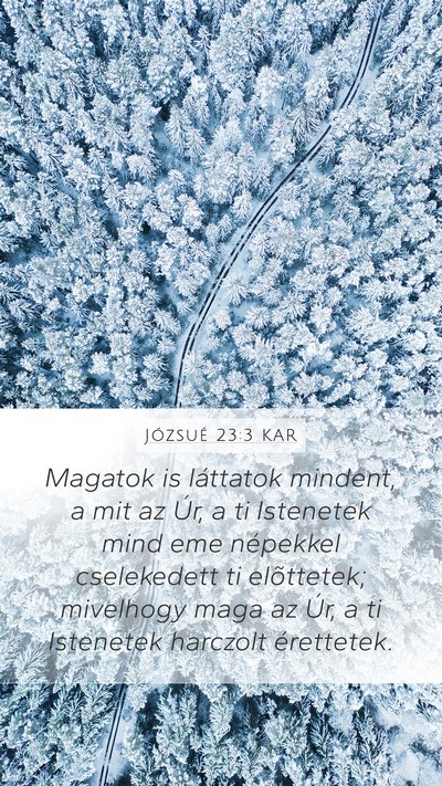 Józsué 23:3 KAR Mobile Phone Wallpaper - Magatok is láttatok mindent, a mit az Úr, a ti - Mobile Bible Verse Wallpaper
