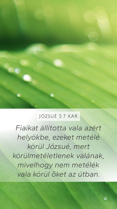 Józsué 5:7 KAR Mobile Phone Wallpaper - Fiaikat állította vala azért helyökbe, ezeket - Mobile Bible Verse Wallpaper