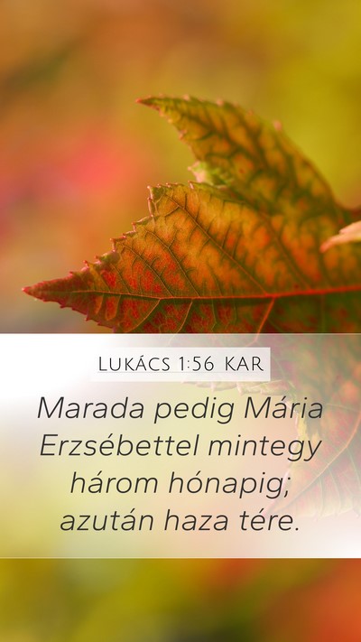 Lukács 1:56 KAR Mobile Phone Wallpaper - Marada pedig Mária Erzsébettel mintegy három - Mobile Bible Verse Wallpaper
