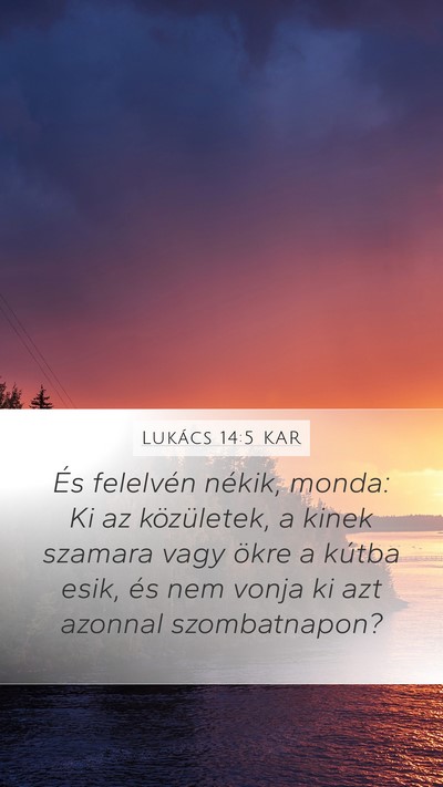 Lukács 14:5 KAR Bible Verse Image
