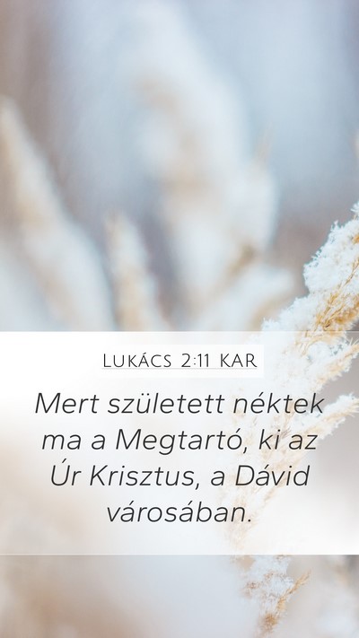 Lukács 2:11 KAR Bible Verse Image